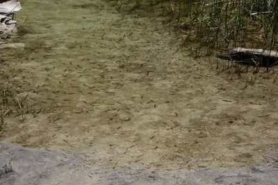 DSC_3576 (Large).JPG